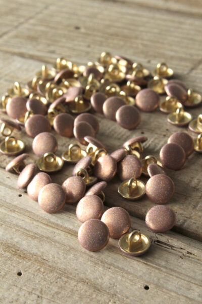 Boutons Shiny Nude Eglantine et Zoe a coudre