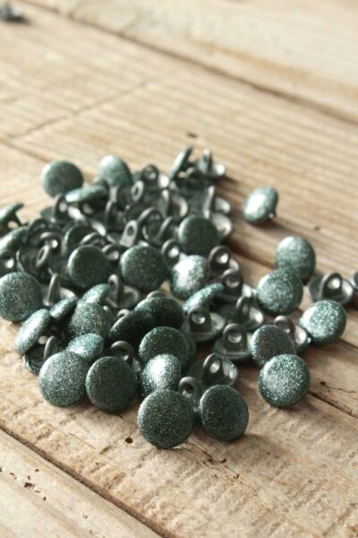 Boutons Shiny Vert Sauge Eglantine et Zoe a coudre