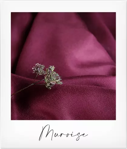 couleur-muroise-eglantine-et-zoe