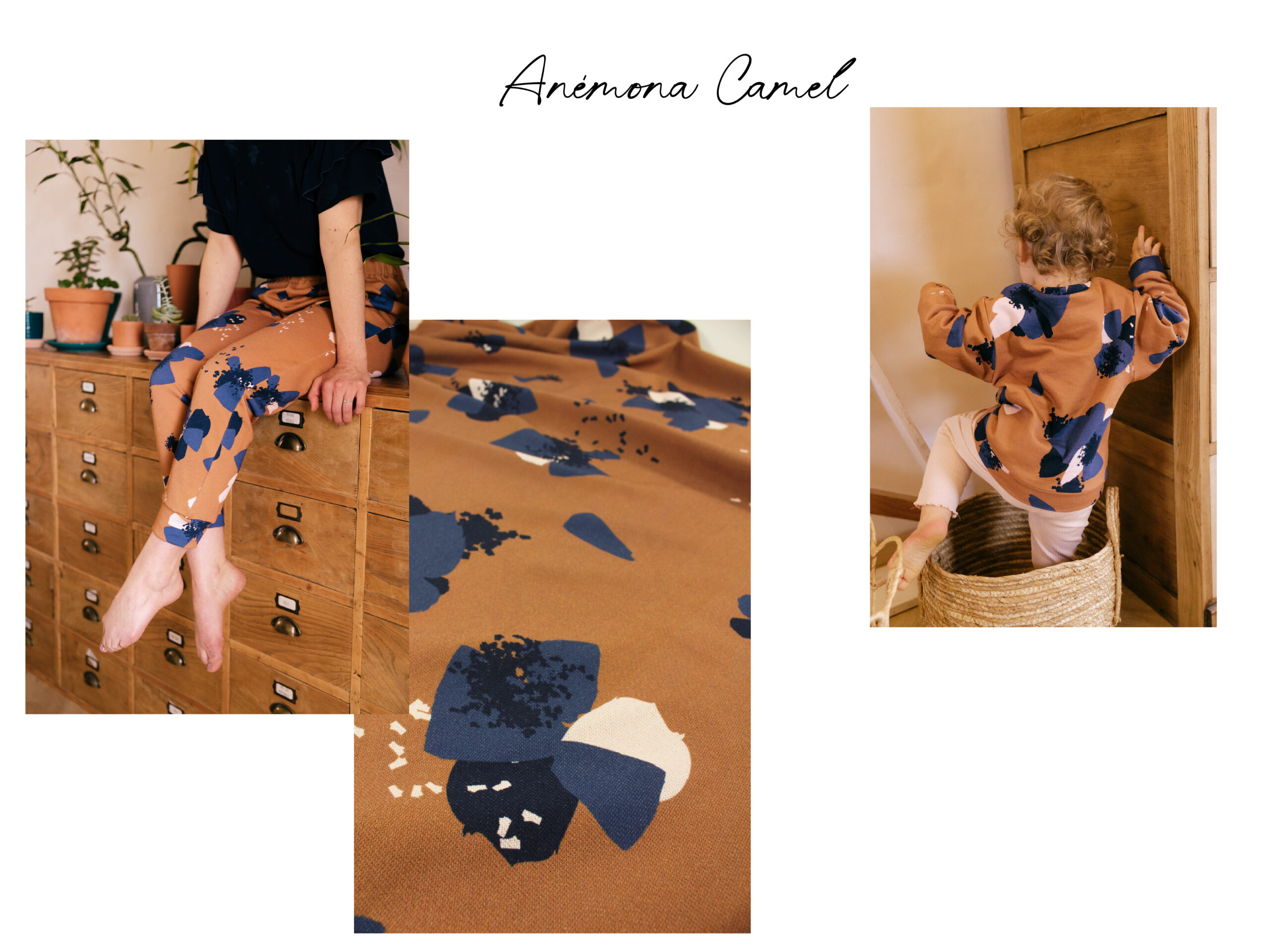 lookbook collection maille anémona d'automne Eglantine et Zoe sweat de coton bio camel